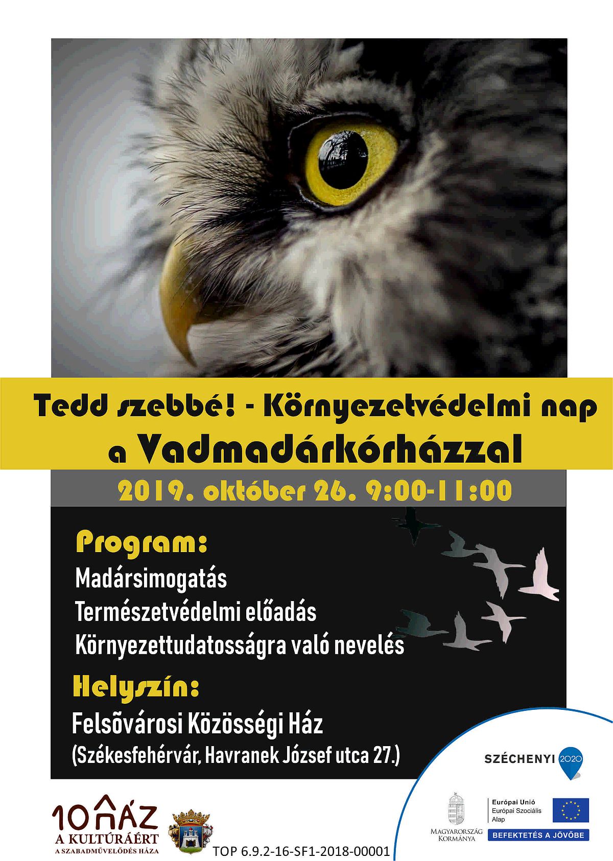 Tedd szebbé - madársimogatás szombaton délelőtt a Felsővárosi Közösségi Házban